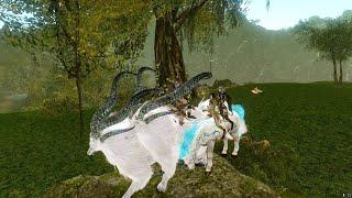 ArcheAge 8.0./Heal/ pvp/ Фановое гвг между собой.