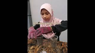 Projek RBT Tahun 5 SKKR - Penanaman bandar Fatin Tihani