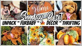 NEW GOLDENDOODLE | 2024 FALL DECOR | UNPACKING & LAUNDRY | THRIFT WITH ME | SUNDAY RESET