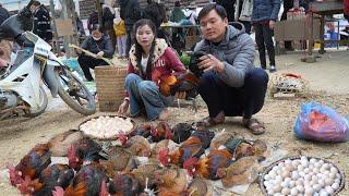 Robert sold a lot of chickens to prepare for the wedding. Green forest life