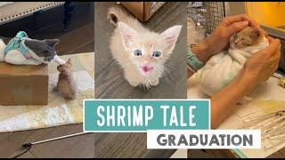 Shrimp Tale – Graduation