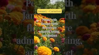 Birth Month Flowers Guide | January Birth Month Flower | Carnation Meanings & Symbolism 