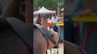 ВЛОГ ОТ ХОРСА? #horse #хоббихорс #топ #рекомендации #хоббихорсинг #питер