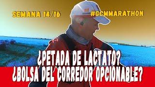  ¿PETADA DE LACTATO? | 2X7000 | ¿BOLSA DEL CORREDOR OPCIONABLE? ‍️