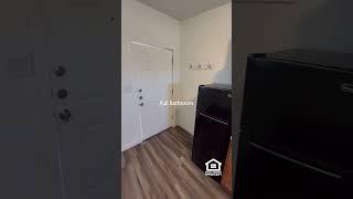 Home Tour - AVAILABLE NOW! Studio Home Near Downtown, San Antonio!