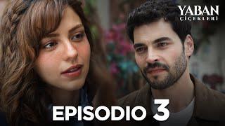 Yaban Çiçekleri - Episodio 3 (Sottotitolato in italiano)