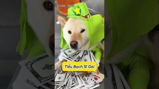 Tiểu Bạch Si gái và Cú sốc đầu đời ! #emthocreview #shorts #trend #viral #hàihước #giảitrí