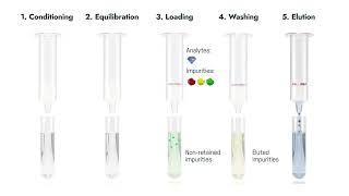 The 5 steps of a solid phase extraction (SPE)