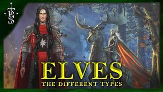 The Types of Tolkien's Elves | Lord of the Rings Lore