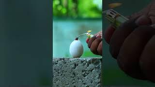 Egg Vs Crackers | M4 Tech | #shorts
