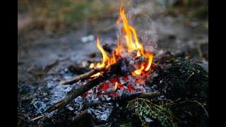 Early morning backyard campfire