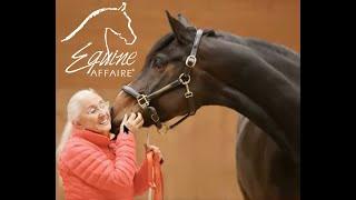 Equine Affaire Educational Program - Linda Tellington-Jones and T-Touch for Horses