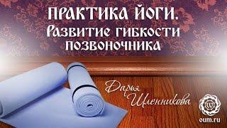 Йога для начинающих. Видео уроки. Практика йоги. Развитие гибкости позвоночника