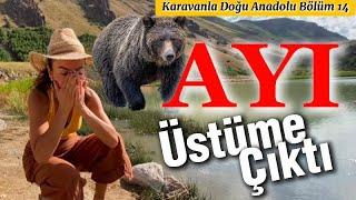 Karavanla Doğu Anadolu Bölüm 14 | Ayı Karavanımın Üstüne Çıktı  |  @seyyahomer