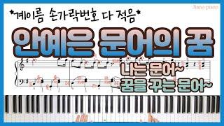 안예은 문어의 꿈 피아노 커버ㅣ계이름 악보ㅣ손가락번호 악보ㅣ문어의 꿈 반주ㅣOctopus’ dream l Ahn Yeeun Piano cover