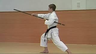 KOBUDO | BO KATA SHODAN