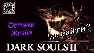 Где найти все заклинания Останки Жизни - [Dark Souls 2]