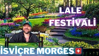 LALE FESTİVALİ | İSVİÇRE | MORGES 