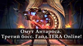 Омут Антароса. Третий Босс. Гайд. TERA Online