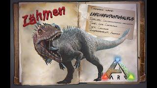 ARK Carcharodontosaurus zähmen [GUIDE/Deutsch] ** ALLE INFOS ** 