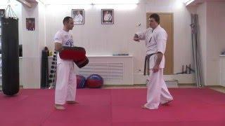 Fighting Techniques Alexander Eremenko - Ushiro Mawashi+Ushiro Geri