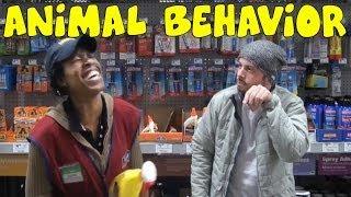 Animal Behavior