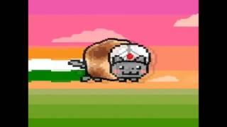 Scary Pop Up Nyan Cat Around The World Tour - India