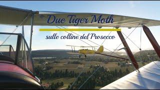 Due Tiger Moth sulle colline del Prosecco (Alto Trevigiano)  [Multiplayer DiegoC-crisk73 - ITA]