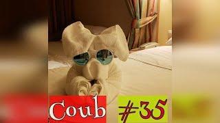 Куб лучшие приколы # 35. Видео приколы. Coub