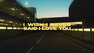 I Wish I Never Said I Love You - Morgan M-James [Official Visualizer]