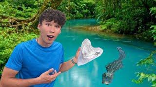 I Found a Megalodon Shark Tooth in a Dangerous Jungle!