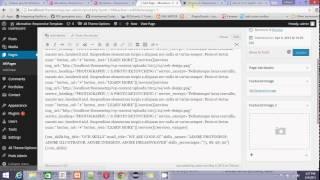 48 Creative wp theme: Skills