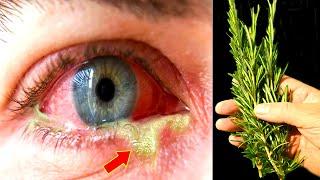 Unbelievable!  Prevents conjunctivitis, cataracts, glaucoma. Restores vision by 100%