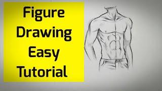 How to draw human figure drawing Male Torso easy for Beginners| Pencil drawing tutorial easy Basics