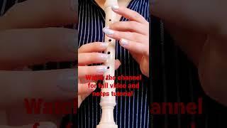 Flute recorder tutorial