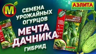  СЕМЕНА ОГУРЦОВ УРОЖАЙНЫХ 2021. Гибрид - Мечта Дачника