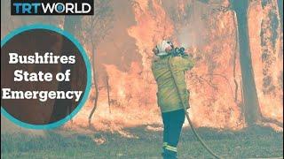 Australia Fires: Week-long state of emergency declared in New South Wales