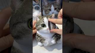 1000g chubby hand-painted squishy cat. #squishy #cat #cute #cuteanimal #cutecat