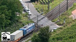 Umleiter-Verkehr am Rhein zwischen Nackenheim und Nierstein [Bahnstrecke Mainz–Worms–Mannheim]