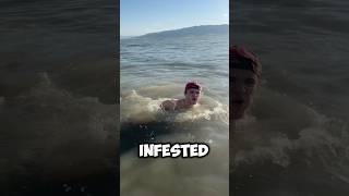 what is that thing at the end #shorts #funny #viral