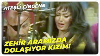 Gülmek Bana Haram Olmuş! | Ateşli Çingene - Türkan Şoray Ediz Hun Eski Türk Filmi