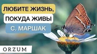 Этот гениальный стих необходимо знать каждому! Стихи со смыслом - Любите Жизнь. Самуил Маршак