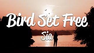 Sia - Bird Set Free (Lyrics)