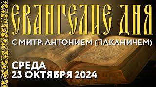 Толкование Евангелия с митр. Антонием (Паканичем). Среда, 23 октября 2024 года.