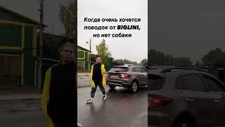 КРЕПКИЙ ПОВОДОК от BIGLINI