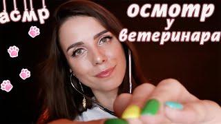 ASMR examination by a veterinarian role play/ close whisper and overhead sounds for you