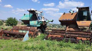  Притягли ще одного корча ️ А нащо 