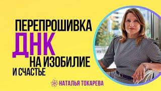 Перепрошивка ДНК на изобилие и счастье. Наталья Токарева.