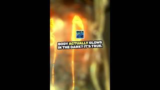 The human body glows in the dark, but our eyes can’t see it! #science #sciencefacts  #viralvideo