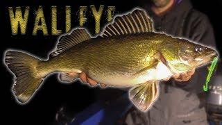 GIANT Walleye - Winter Walleye Fishing Tips and Techniques